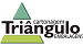 Cartonagem Triângulo